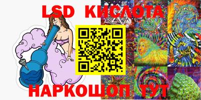 стафф Донской