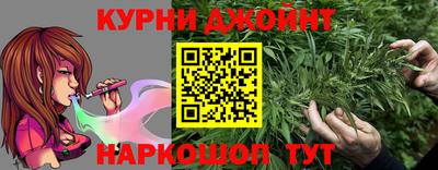 стафф Донской