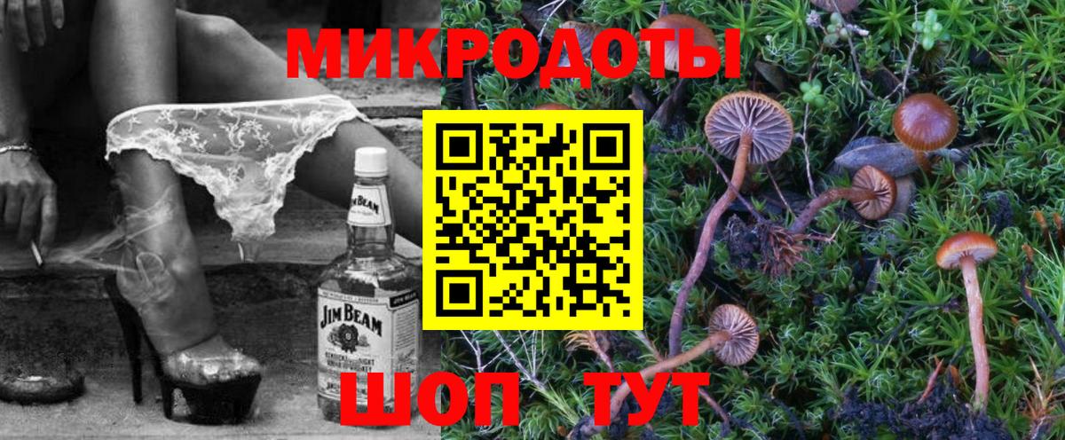 Псилоцибиновые грибы Psilocybe  где купить   Кольчугино  Вход с VPN 
