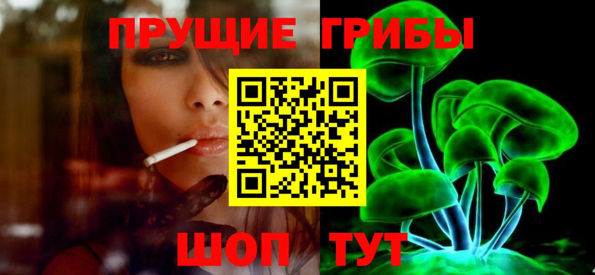 Псилоцибиновые грибы Psilocybine cubensis Кольчугино